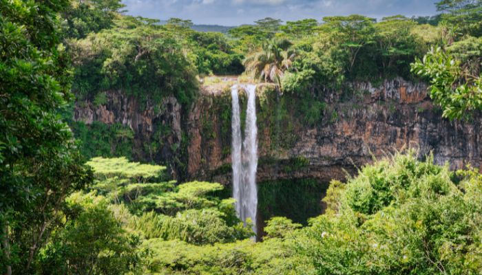 Chamarel Waterfalls in Mauritius, the largest falls cascading amidst lush green surroundings and rocky cliffs