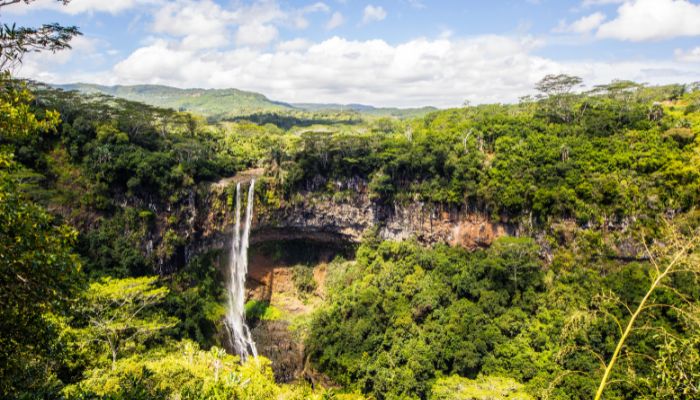 Black River Gorges National Park in Mauritius, showcasing stunning natural beauty with lush forests, scenic viewpoints, and diverse wildlife