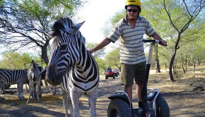 Casela Nature Park Segway Tour in Mauritius, an exciting fauna expedition showcasing diverse wildlife and scenic landscapes