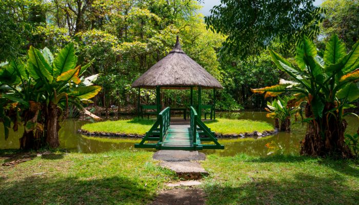 Mauritius National Botanical Garden, home to diverse flora including tropical plants, vibrant flowers, and lush greenery