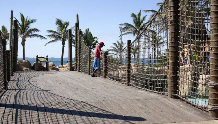 Image of uShaka Marine World: A vibrant aquatic wonderland featuring thrilling rides, interactive exhibits, and a diverse array of marine life, captivating visitors of all ages