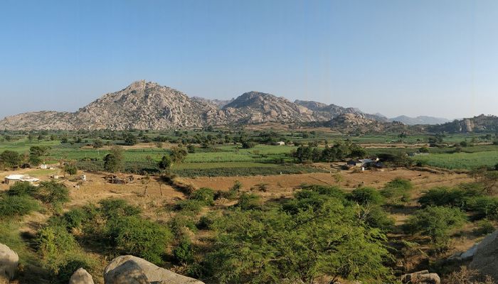 The scenic landscape of Balaram Ambaji Wildlife Sanctuary in Banaskantha, Gujarat, showcasing diverse flora and fauna in their natural habitat