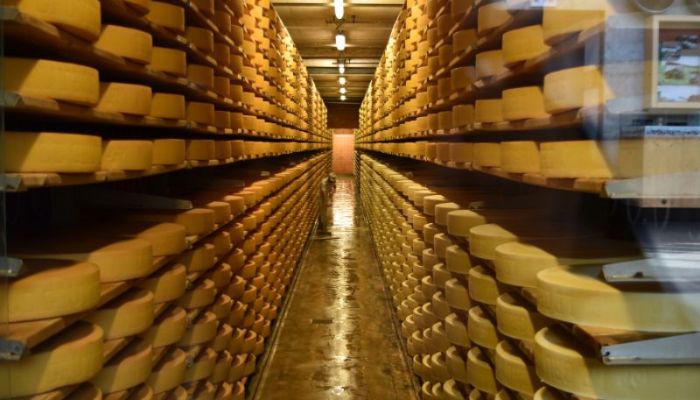 Indulging in the delight of Swiss cheese at a local cheese factory in Engelberg, Switzerland