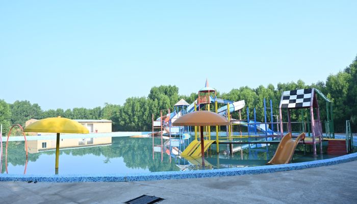 Peaceful setting of Camp Unity Resort with cozy cabins nestled in a forested area