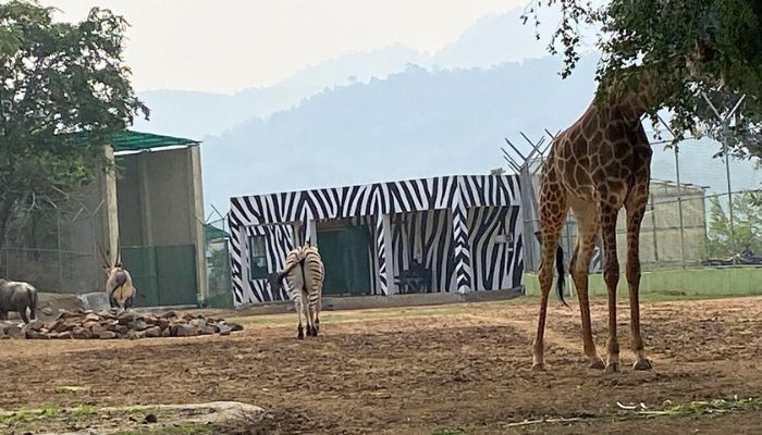 Sardar Patel Zoological Park: Diverse wildlife in naturalistic enclosures
