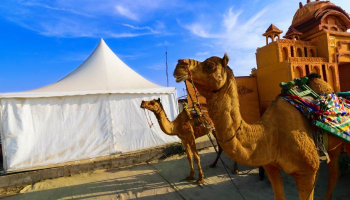 A vibrant scene from the Rann Utsav festival in Gujarat, showcasing colorful tents, traditional dances, and local artisans displaying their crafts under the vast, white salt desert of the Rann of Kutch