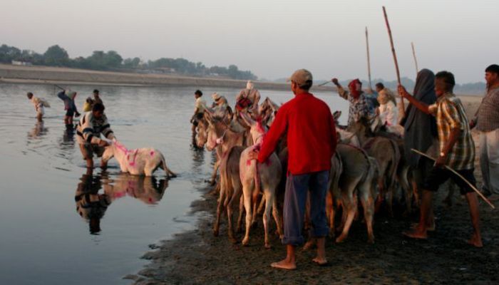 Crowds gather at Vautha Mela, with colorful tents, stalls, and traditional performances in Gujarat, India