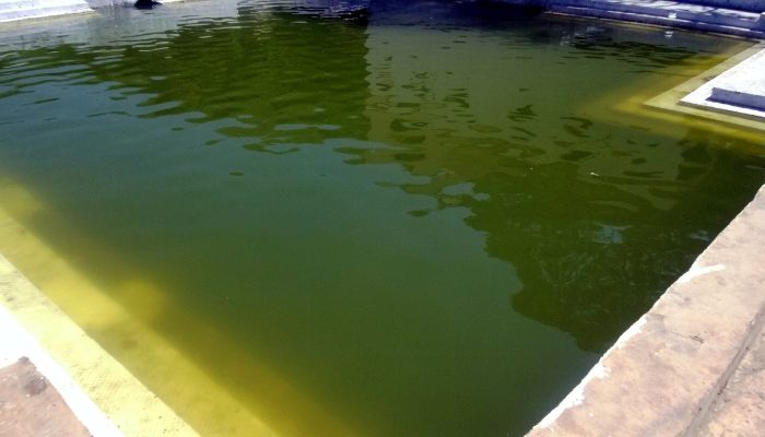 Tranquil green waters of Damodar Kund