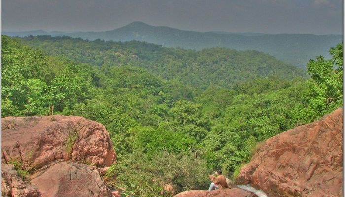 Scenic hilltop view at Kanjeta Eco Campsite with dense forest cover