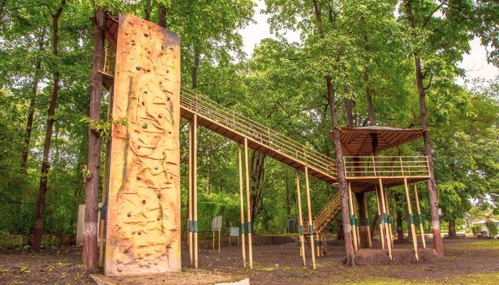 A vibrant natural landscape at Kilad Nature Education Campsite with thick forests, a clear sky, and educational facilities surrounded by nature