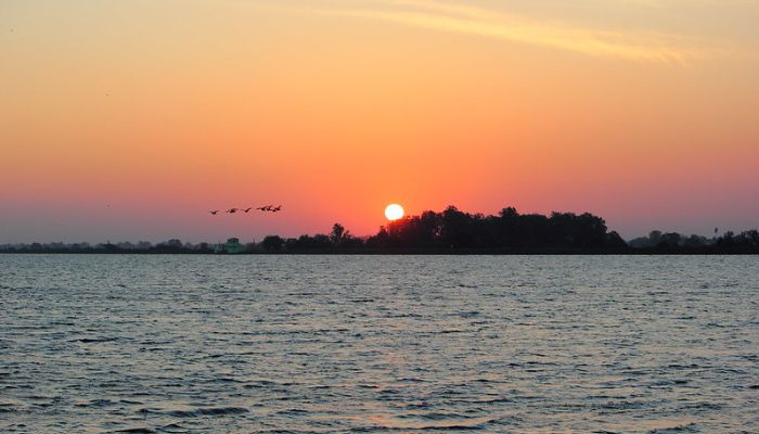 A vast wetland at Vadhvana Wetland & Eco Campsite with calm water reflecting the sky, bordered by greenery and diverse wildlife