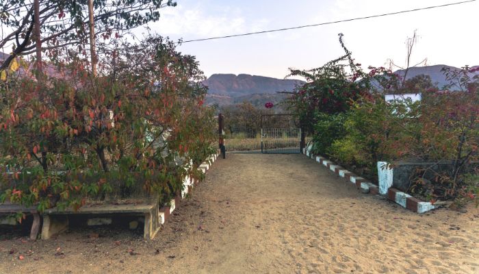 Entrance of Zarwani Eco Campsite with a sandy path and greenery on both sides, leading to distant hills