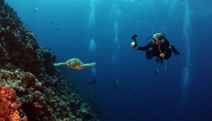 Scuba Diving in Mauritius: 5 Best Dive Sites